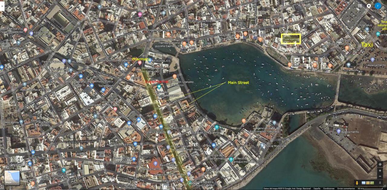 Estudio del Pescado en el Charco Arrecife (Lanzarote) Exterior foto